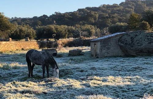 Casa rural La Tahona del abuelo TR CC 00344 - Foto 51