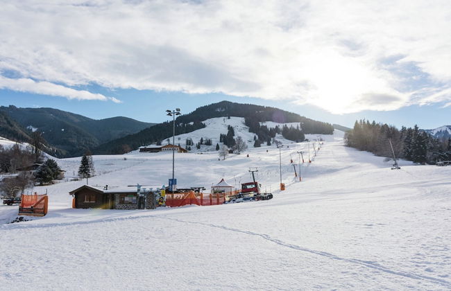 Classic Apartment near Ski Area in Leogang - Foto 23