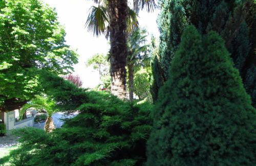 Quinta do Guerra - Foto 37