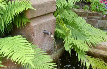 Ferienwohnung Familie Scheibel - Foto 21