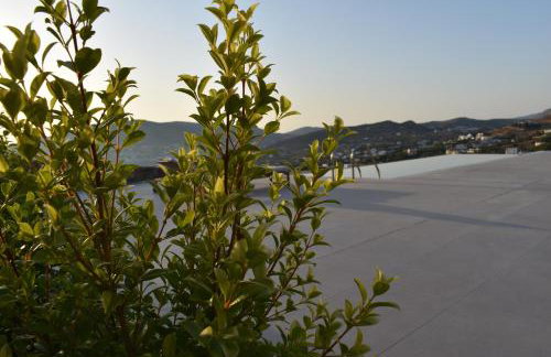 Prime Views - Foto 77