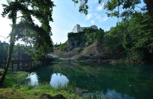 Imanje Jelaš - Foto 41