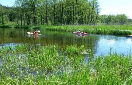 Najtańsze domki na Mazurach Krutyń Giżycko Mikołajki Mrągowo Ostróda rezerwacje wyłącznie telefonicznie 512-29O-43O prosimy nie sugerować się dostępnością domków na tej stronie zapraszamy www domkiwkrutyni com - Foto 25
