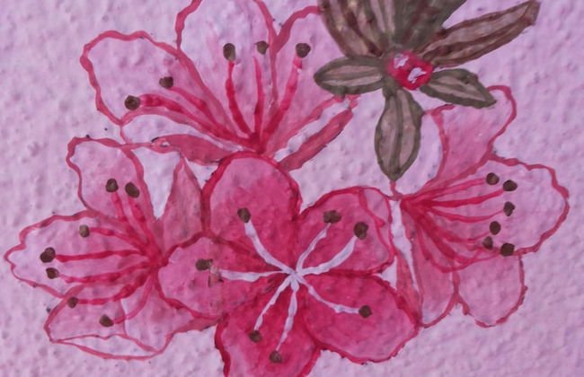 Azalea & Glicine House - Foto 40