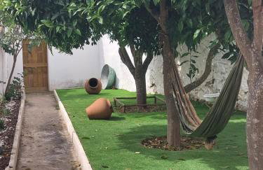 Papoila - Foto 6