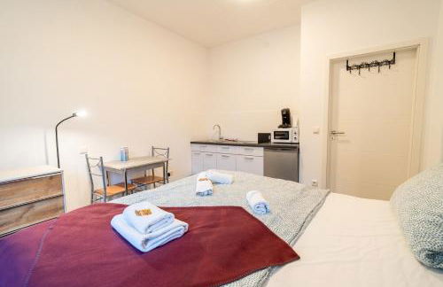 Modernes Studio Koblenz mit Küche, WLAN & Gemeinschaftsbad - Foto 15