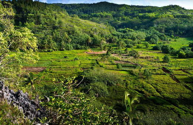 Tour por Rarotonga - Foto 3