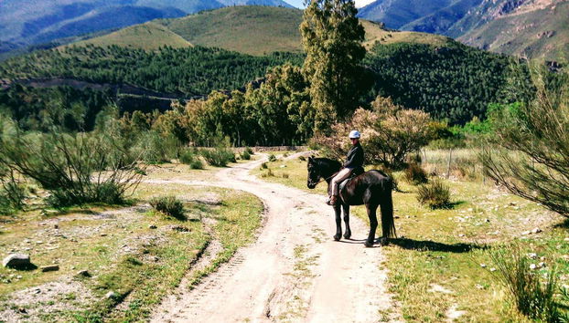 Seeing the mountains on horseback