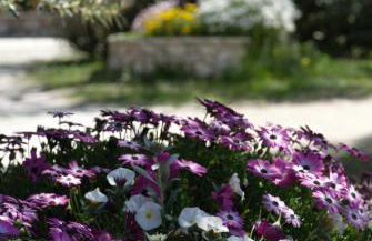 LIORIZA Country Houses - Foto 75