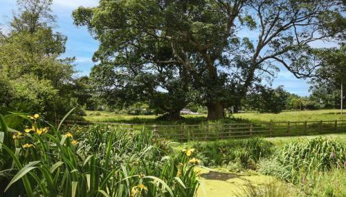 2 Bed in Launceston oc-85894 - Foto 3, Other