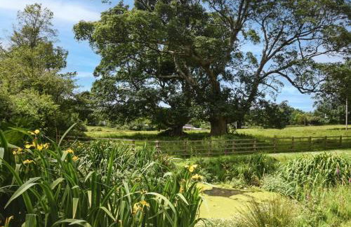 2 Bed in Launceston oc-85894 - Foto 3