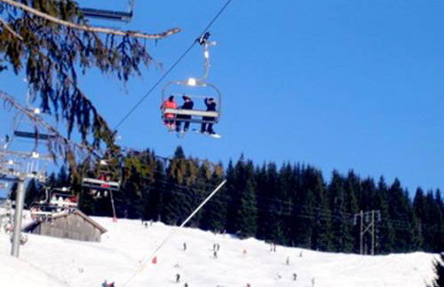 L'Ours Blanc Lodge - Photo 25