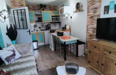 Superbe T2, à 100 mètres des pistes - Foto 3