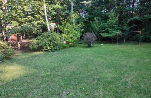 FORREST DOM w LESIE - Foto 10