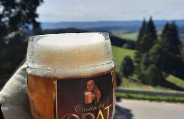 Domek Ostoja - Foto 35