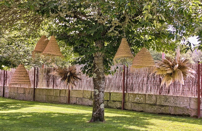 Pazo Almuzara - Foto 65