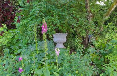 Le clos des Acanthes - Foto 14