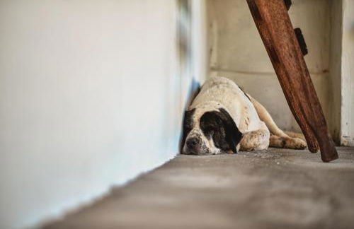 Épicos House, Your home away from home. - Photo 10