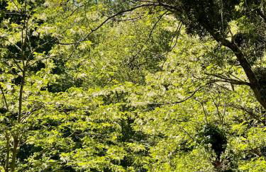 Stunning Boutique gîte Flore at Vive le Vert - Foto 36