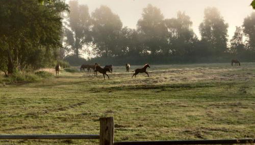 Kleenes Haffhus - Foto 3