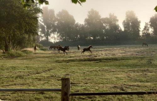 Kleenes Haffhus - Foto 3