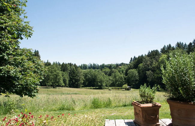 Bergwiesen - Studio House - Foto 24