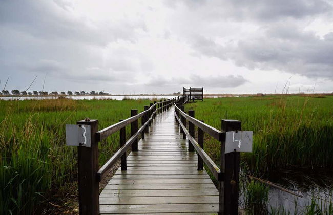 Ebro Delta Bird Watching Tour - Photo 2