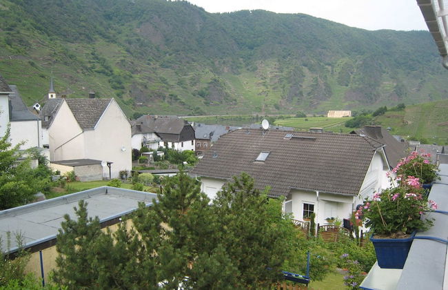 Holiday Home in Bremm Near the Vineyards - Photo 30