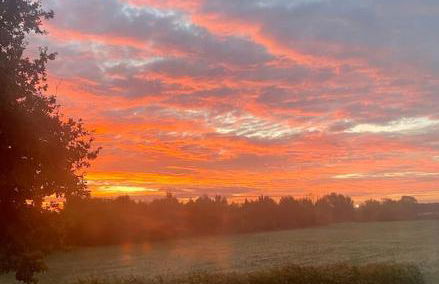 Totally Private, idyllic House with hot tub in an acre of private gardens - Foto 46