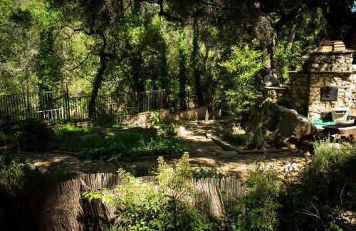 Vintage RV Creekside Nature Retreat near Ojai next to Swim Holes Hike - Foto 26