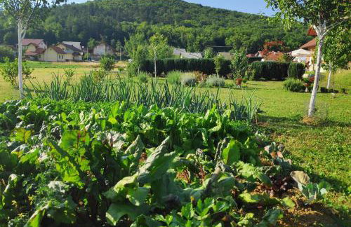 Apartman Urban Nature - Foto 59