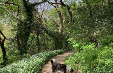 Shangri la at Beauport - Foto 27