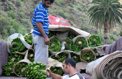 Casas Rurales El Serrillal - Foto 39