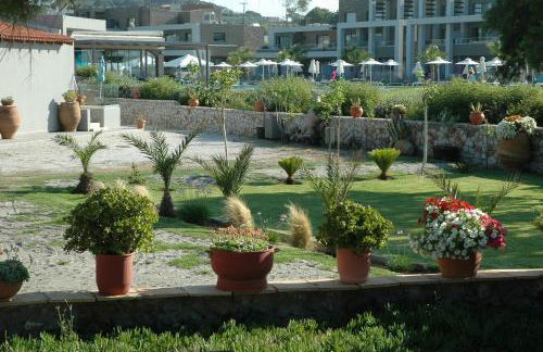 Electra Studios - Foto 103