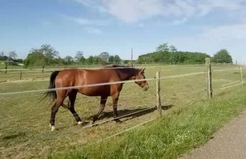 Le clos jasmin - quartier historique de Montlouis - Foto 36
