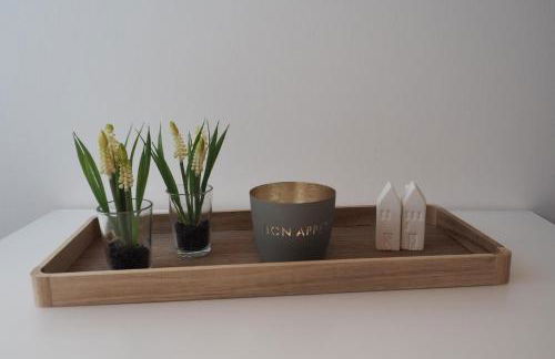 Pilsumer Sternekieker - Foto 8