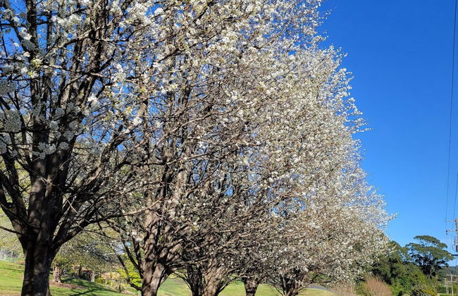 The Drawing Rooms of Berry - Foto 74