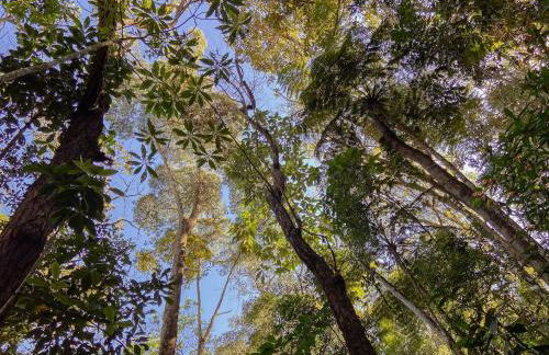 Chalé na Floresta - Refúgio Natural - Photo 32