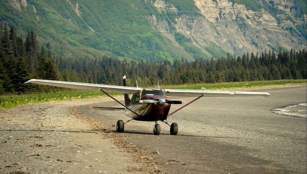 Observation de grizzlis - Photo 2, C'est parti !