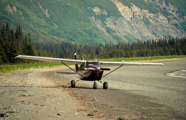 Grizzly Bear Spotting - Photo 1