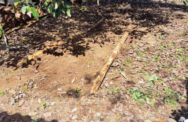 Finca Mamposo - Foto 20