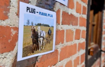 OAK COTTAGE - Foto 11