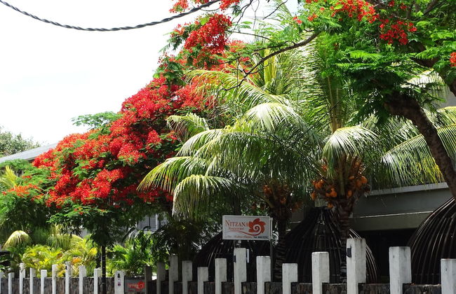 Nitzana Residences & Restaurant - Photo 71