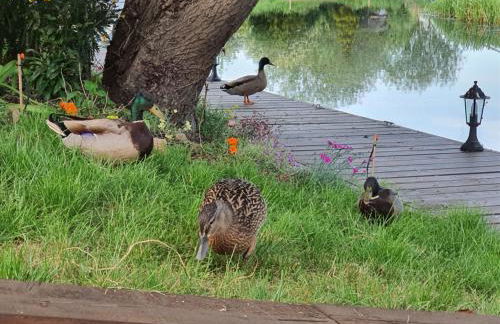 River Cottage - Foto 16