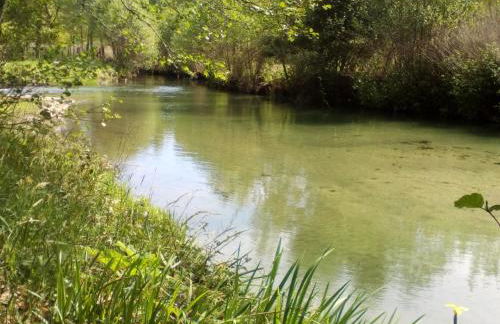 Casa do Chico - Foto 44