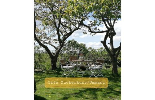 Schwanke's Holiday Home Seeadler - Foto 24