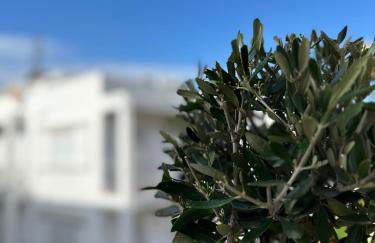 Casa Pamphylia - Photo 24