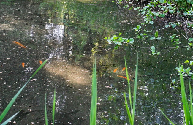 7 Person Holiday Home in Hornbaek-by Traum - Foto 36