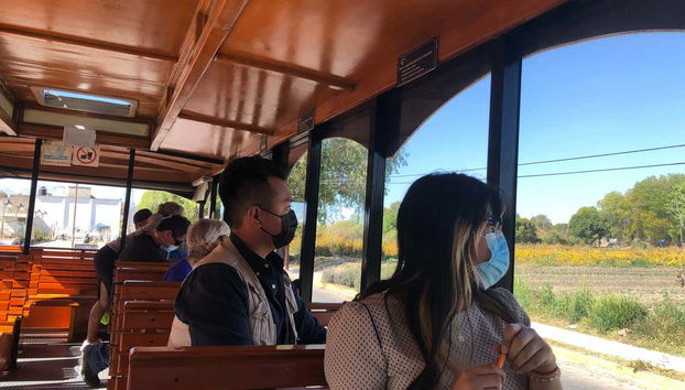 Enjoying the scenery during the trip