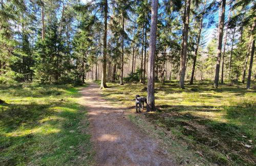 Ferienwohnung Schuberski - Foto 34
